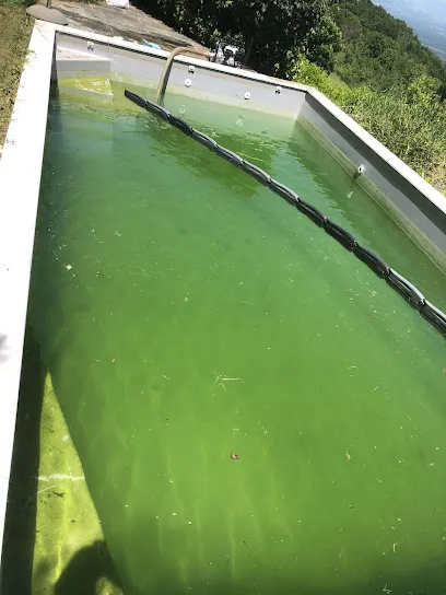 Image de À l’eau piscine belley