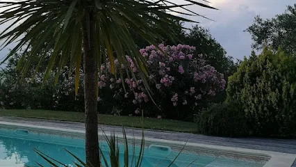 Image de ANT PISCINES