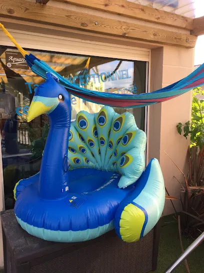 Image de ARGUIN PISCINES & SPAS