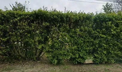 Image de Art et Pavage