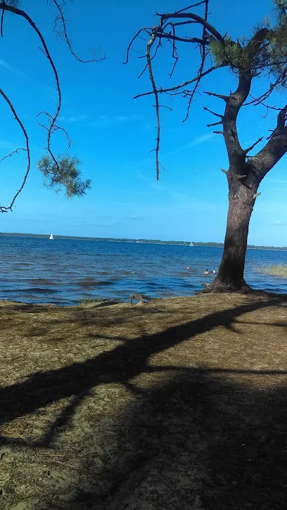 Image de Bleu Sud Ouest