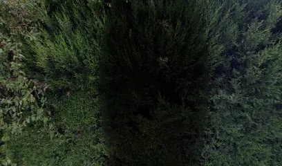 Image de BluePoolConcept