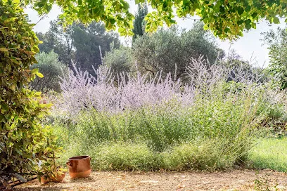 Image de Boyer Jardin & Piscine