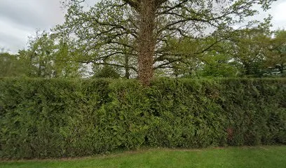 Image de C2M Piscines