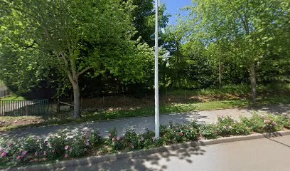 Image de D.P Diffusion