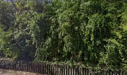 Image de Fun Piscine