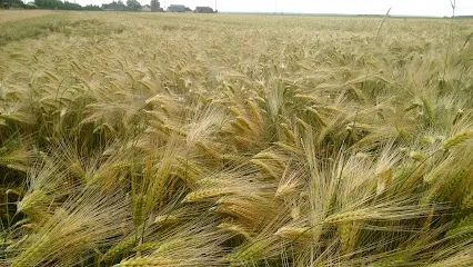 Image de Giloire Emmanuel