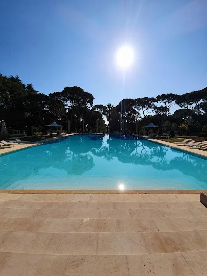 Image de Hexagone Sport Robotics