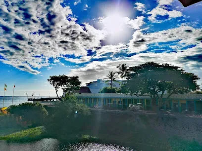 Image de Le Jardinier