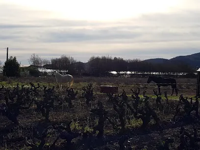 Image de Lepère SERVICES