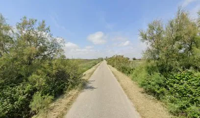 Image de Luxury Pool