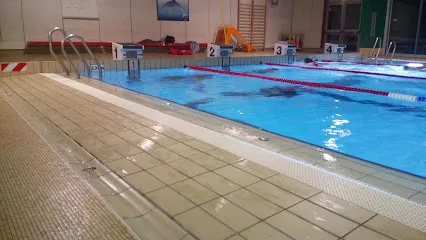 Image de Piscine Municipale d'Aixe-sur-Vienne