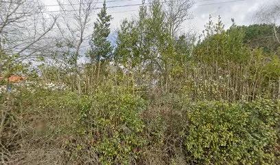 Image de Piscines Moreau