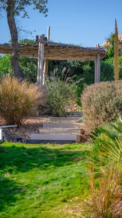 Image de Poisson Vert