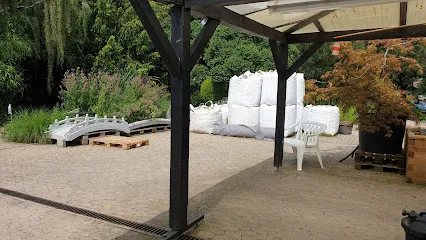 Image de Rêves Aquatiques