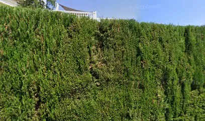 Image de Rive Sud Piscines