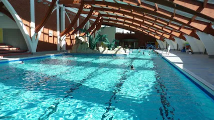 Image de SAREPS - Renovation Piscine Municipale, Piscine Joint Epoxy, Injection Resine, Etancheite Piscine Municipale