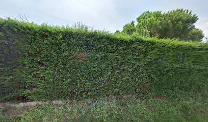 Image de Technique Piscine Service
