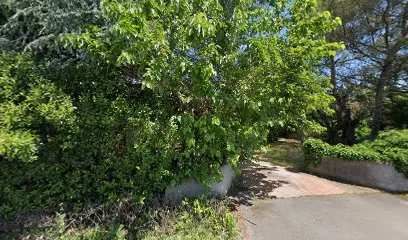 Image de Toulouse Piscin