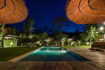 Image de Vert Turquoise